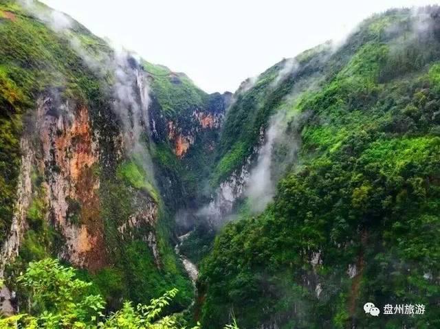 第十四届吉林(长春)冬季农博会启幕